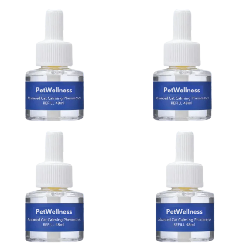 PetWellness Diffusor Kat