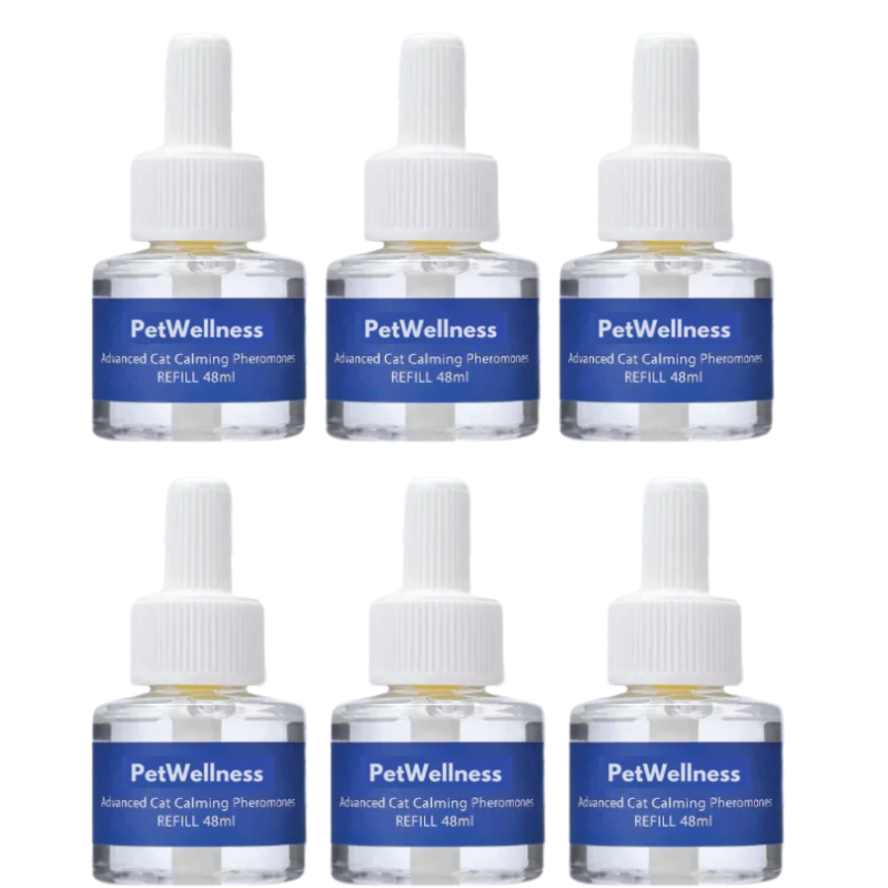 PetWellness Diffusor Kat