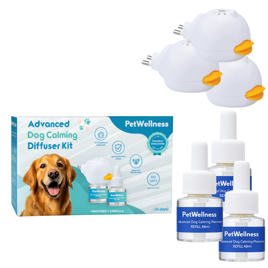 PetWellness Diffusor Hund