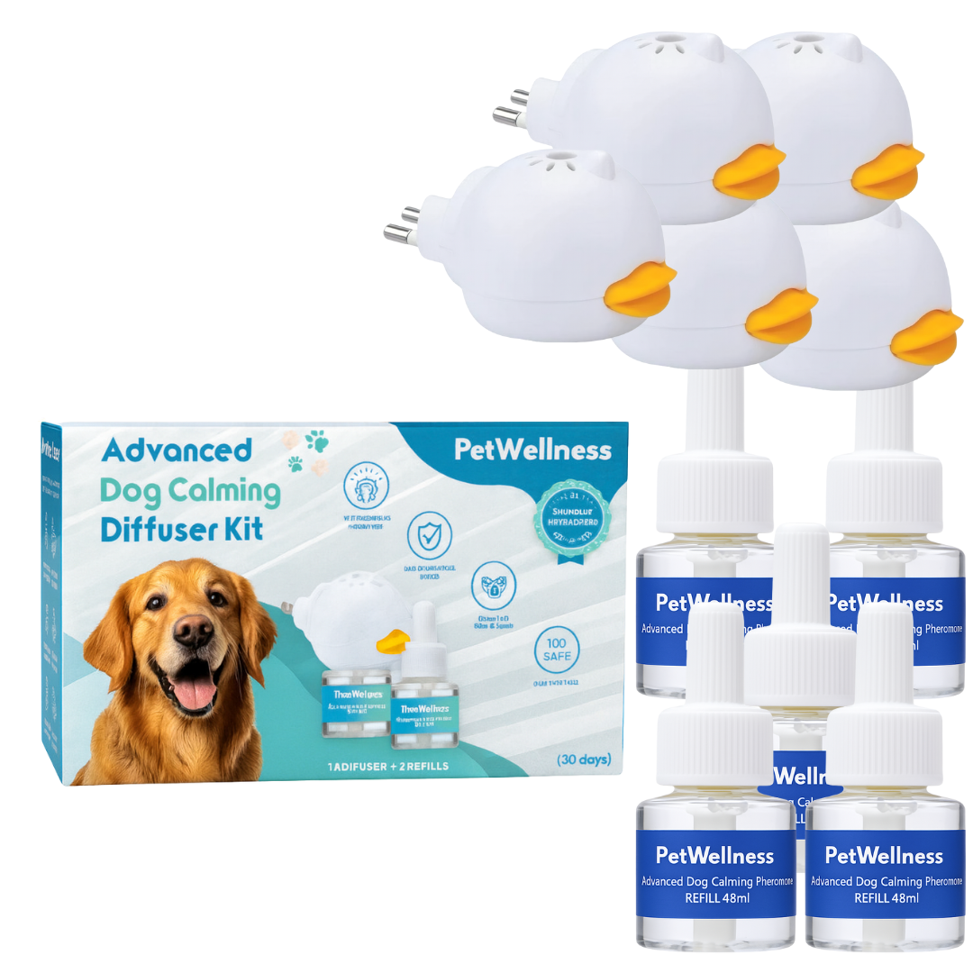 PetWellness Diffusor Hund