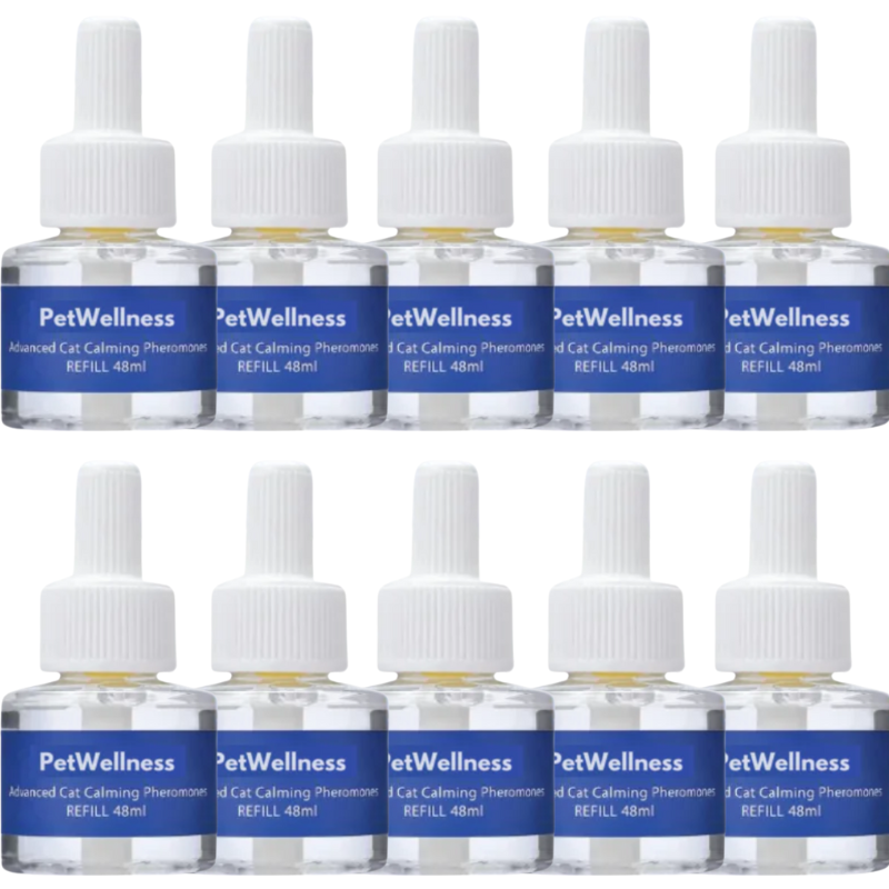 PetWellness Diffusor Kat