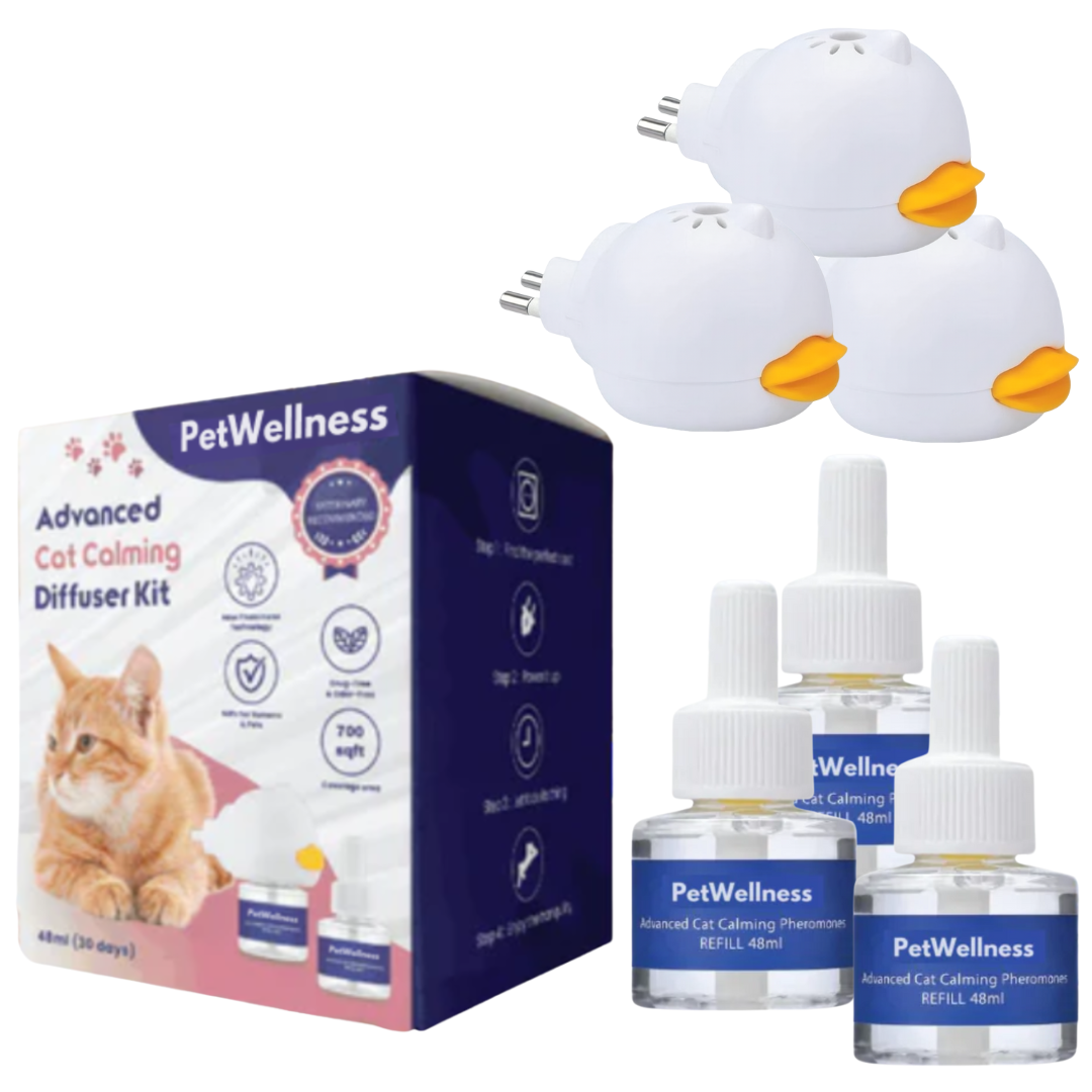 PetWellness Diffusor Kat