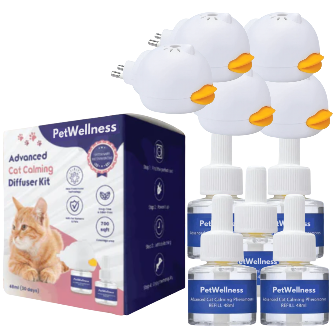 PetWellness Diffusor Kat